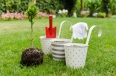 Planting tree in blooming garden